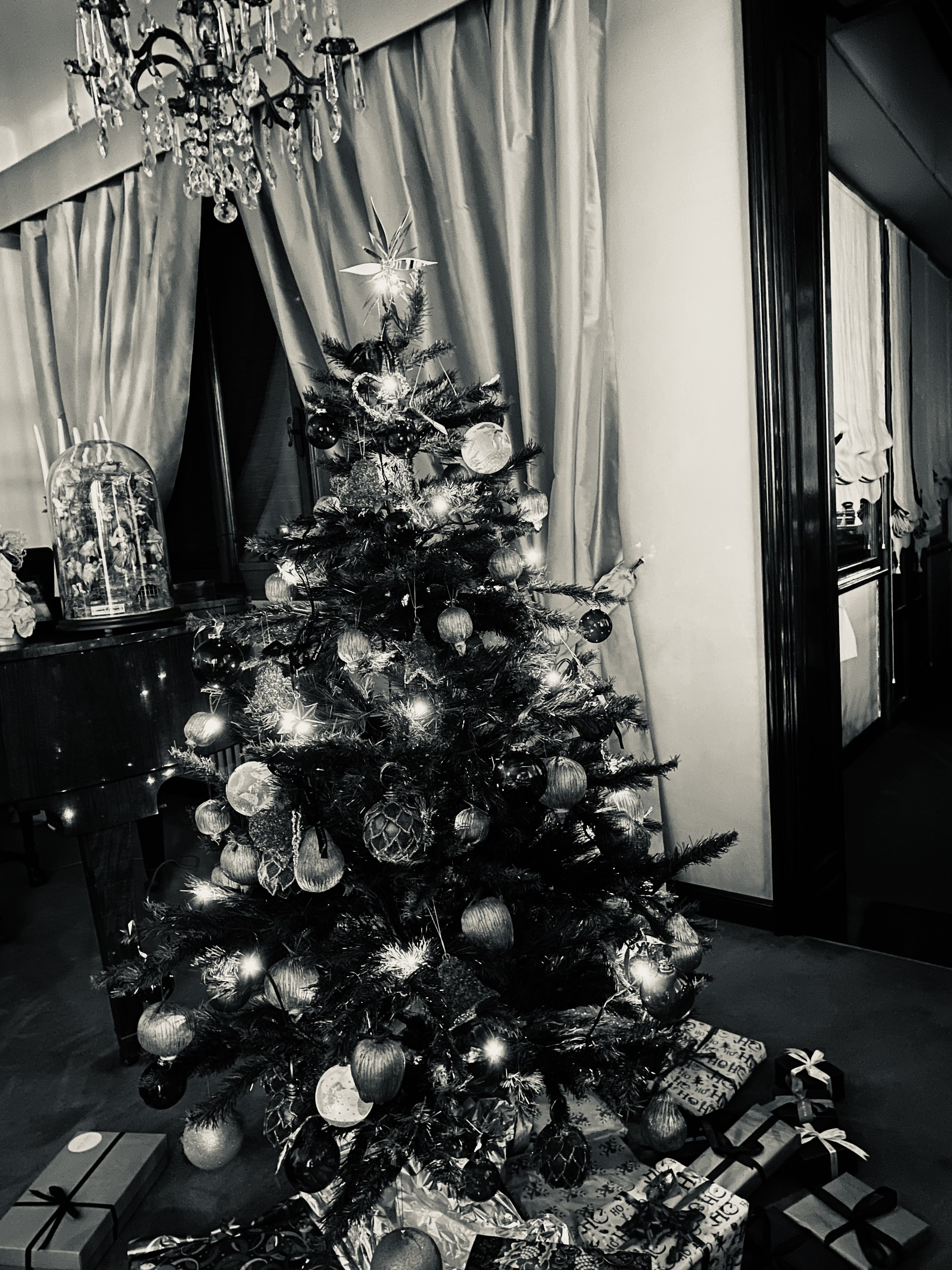 Klinikken holder juleferie. Vi er tilbage 2/1-26 og ønsker glædelig jul & godt nytår